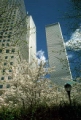 NYC_New_York_World_Trade_Center_with_trees_in_springtime[1].jpg